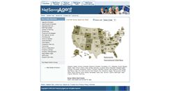 Desktop Screenshot of netsavvyagent.com