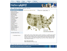 Tablet Screenshot of netsavvyagent.com